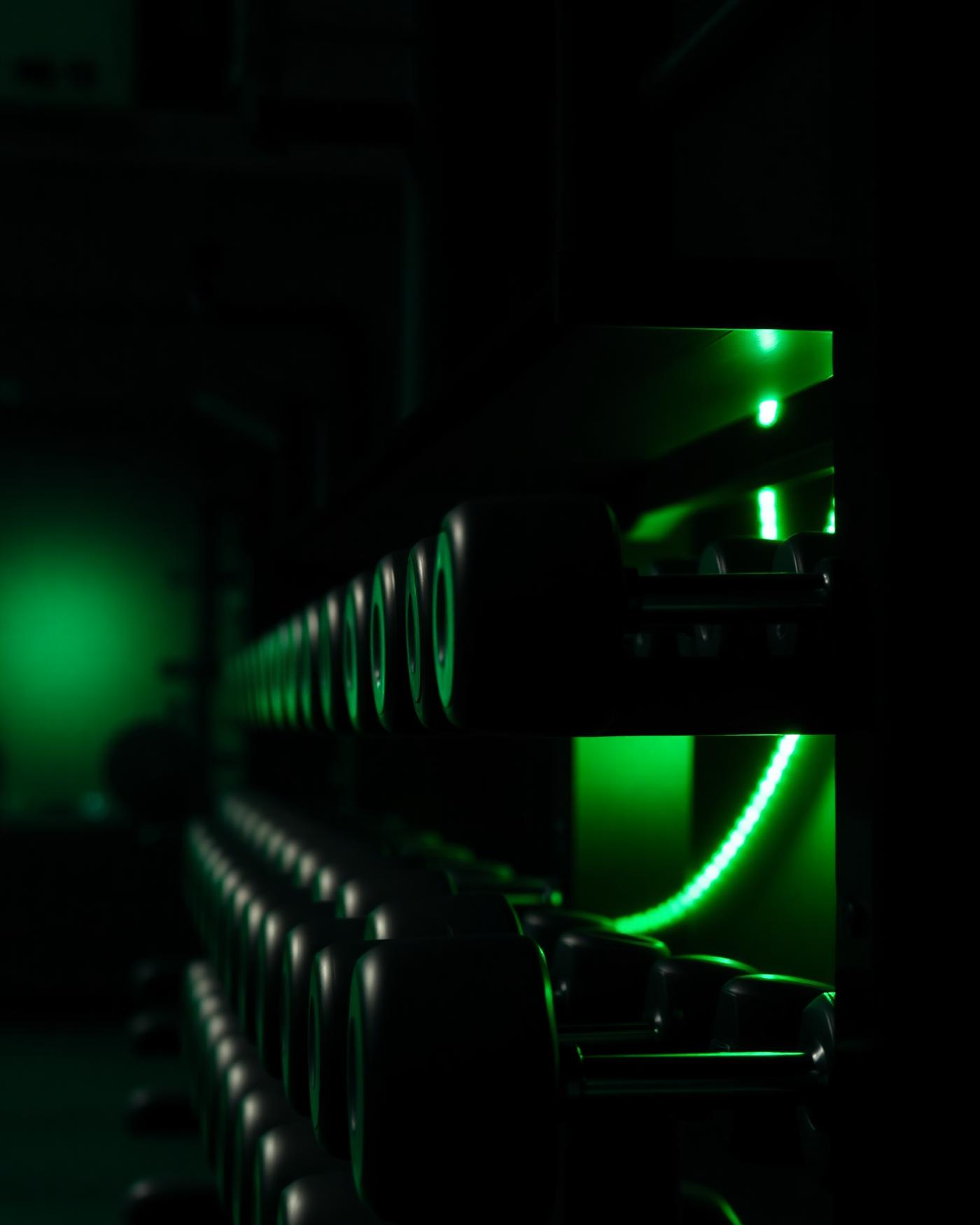 Rack de mancuernas con luz verde Elite